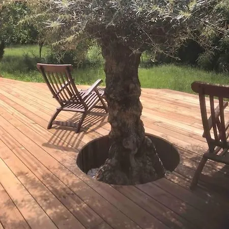 Maison Ronde Atypique En Bois Holiday home *