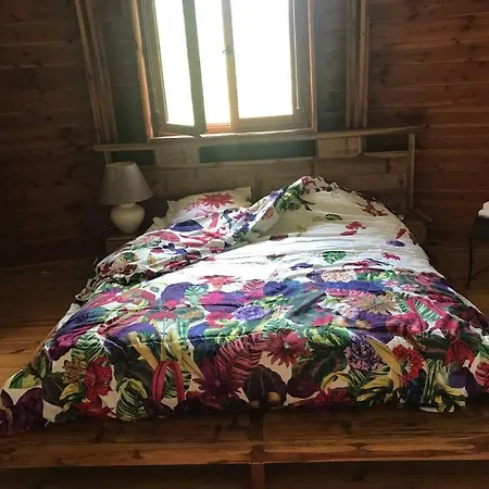 Maison Ronde Atypique En Bois Holiday home *